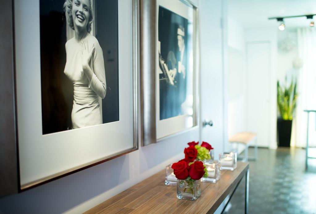 Studio Living Montreal